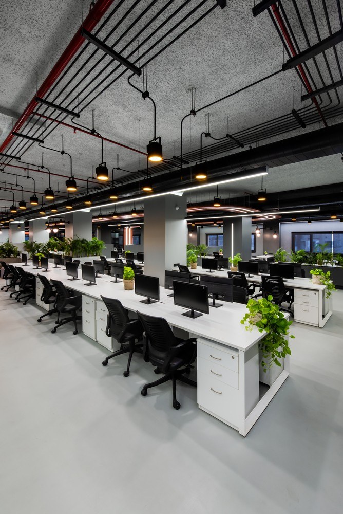 The HyperNext office, open-plan desks with shared aisles and planting under exposed services